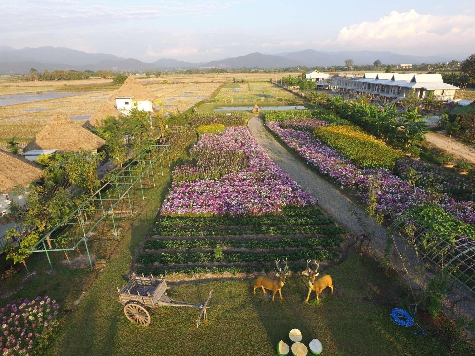 Phusanfah Resort Mae Taeng Exterior foto